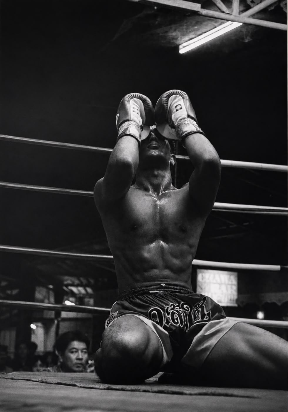 Merlin Fröhner kniet im Ring und hält die Boxhandschuhe vor das Gesicht